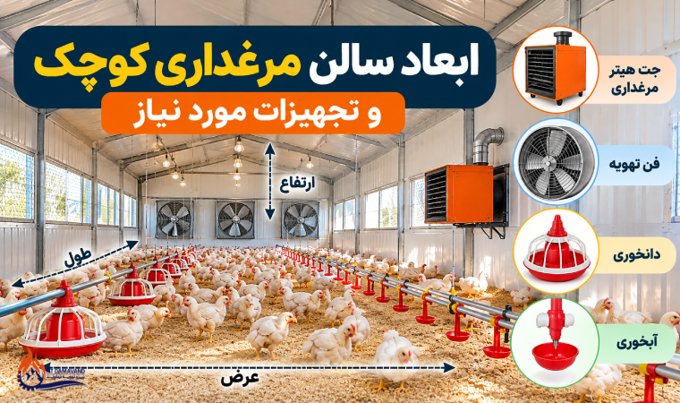 ابعاد سالن مرغداری کوچک و تجهیزات مورد نیاز | راهنمای کامل طراحی و راه‌اندازی